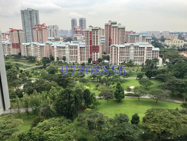 Blk 310B Ang Mo Kio Avenue 1 (Ang Mo Kio), HDB 5 Rooms #162622052
